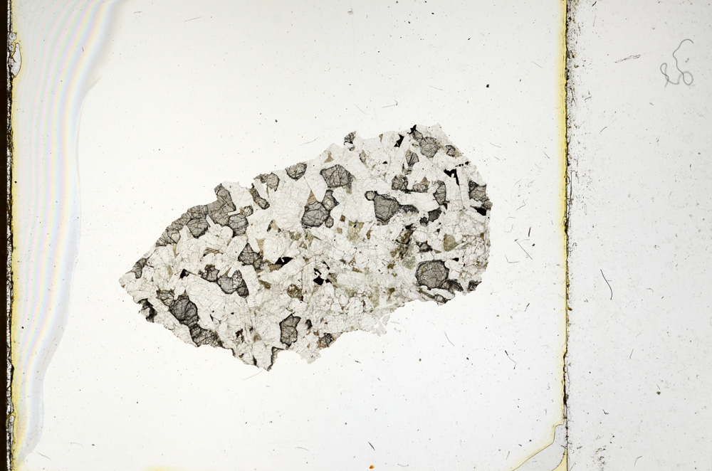 Plane Polarized, ED4399