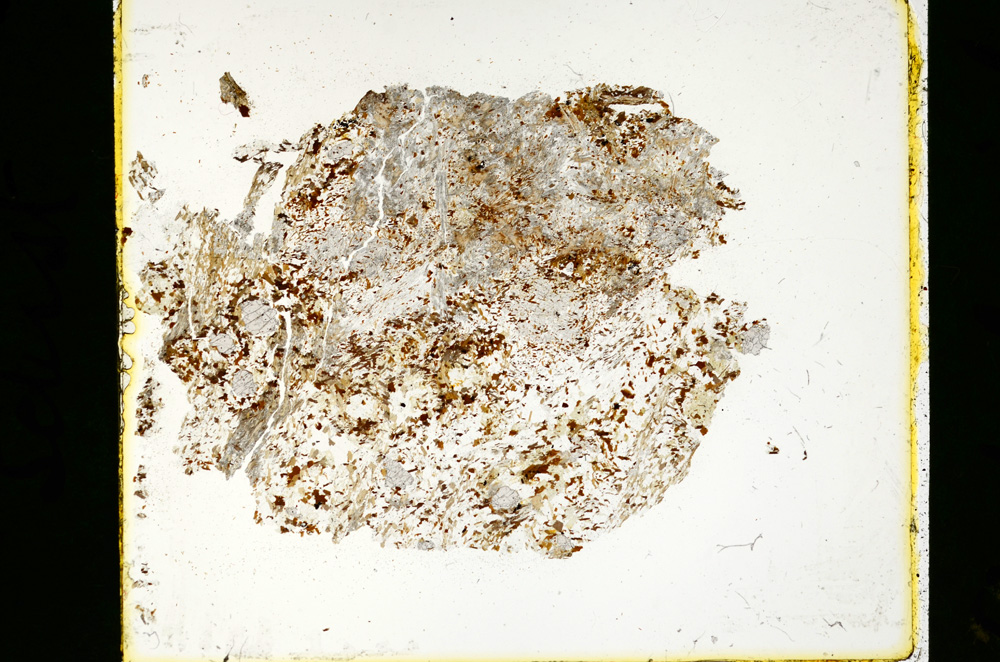 Plane Polarized, ED4405