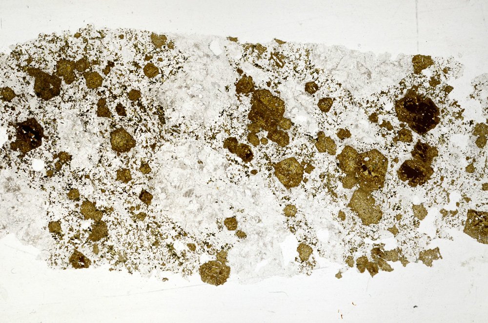 Plane Polarized, ED4541