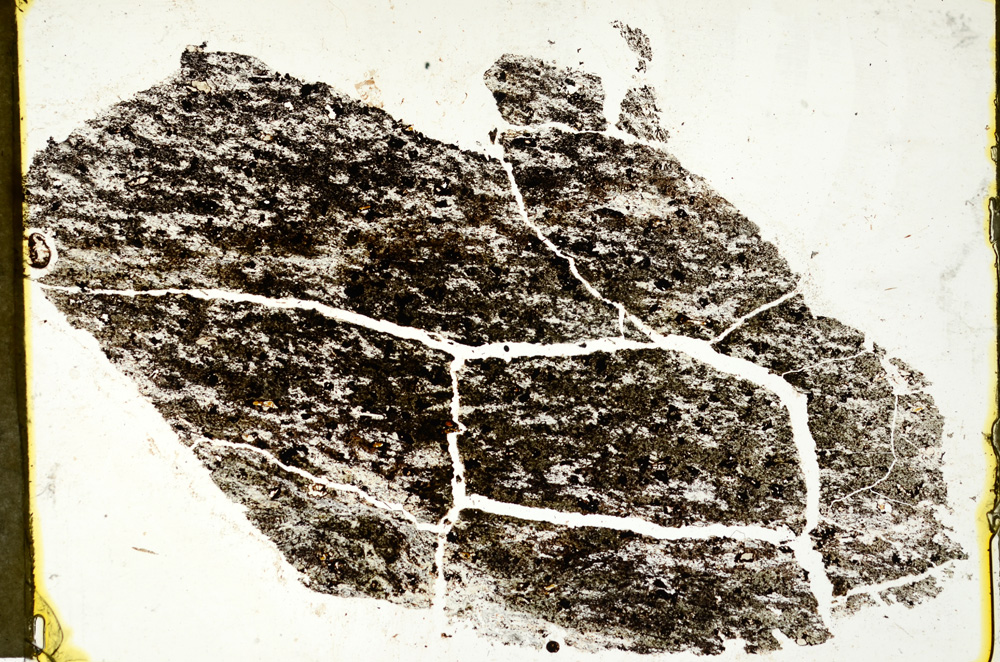 Plane Polarized, ED4604