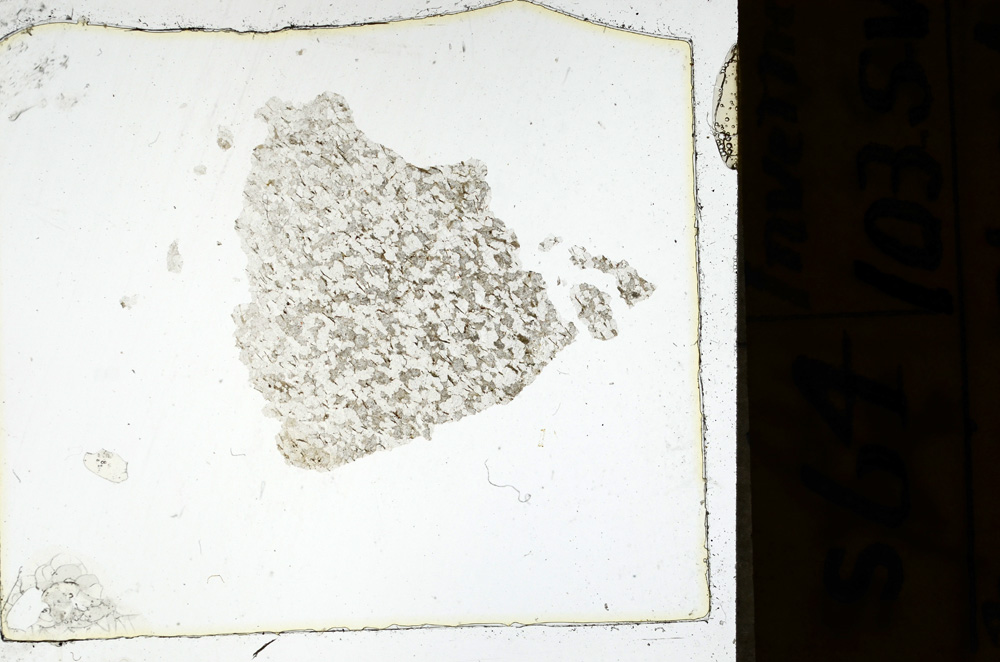 Plane Polarized, ED4659