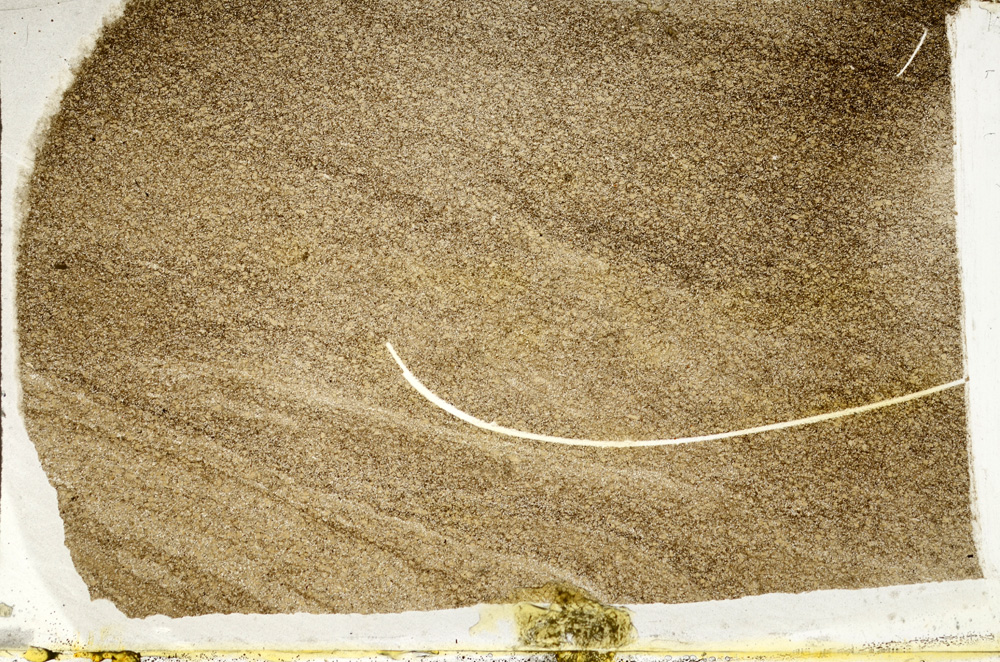 Plane Polarized, ED7792