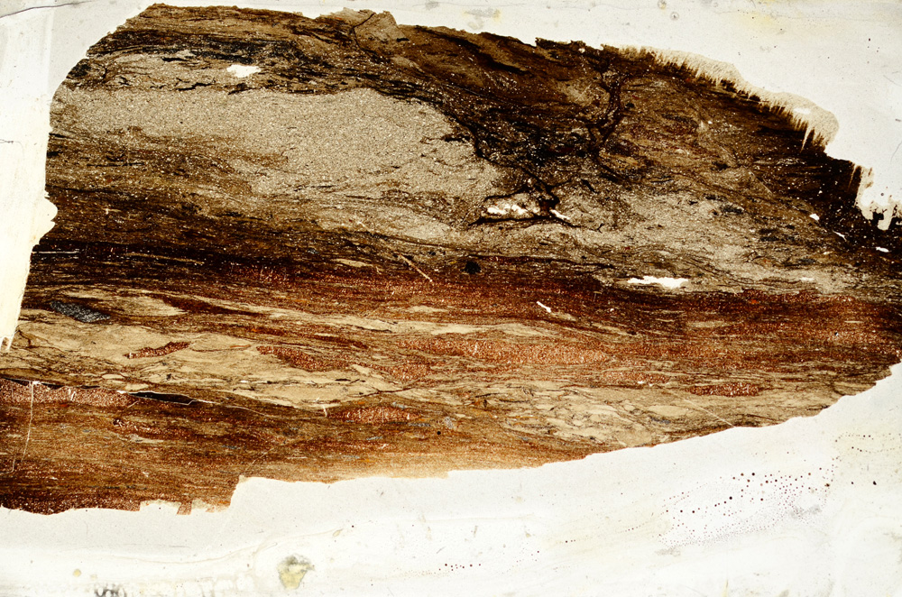 Plane Polarized, ED7795