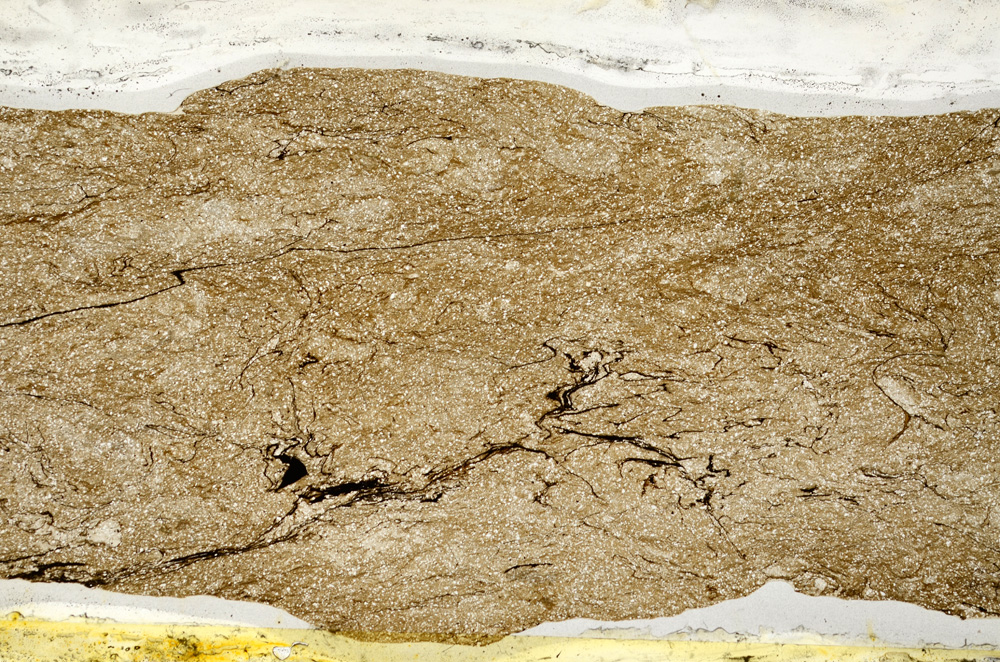 Plane Polarized, ED7862