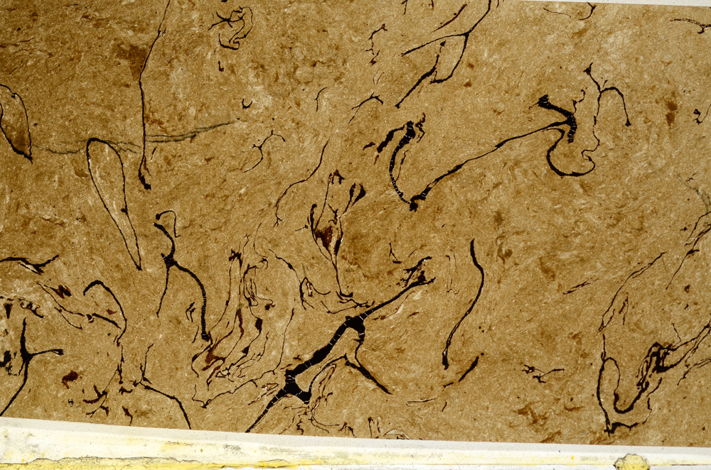 Plane Polarized, ED7869