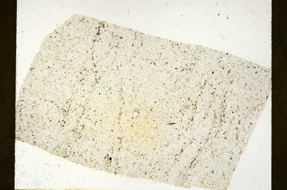 Plane Polarized, ED7938