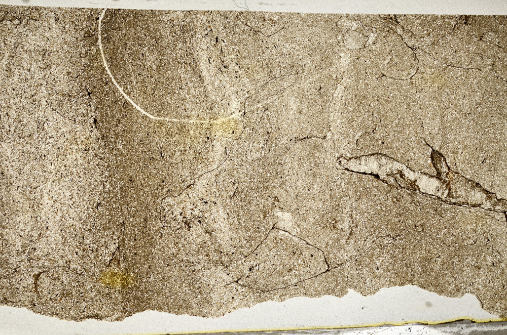 Plane Polarized, ED7960