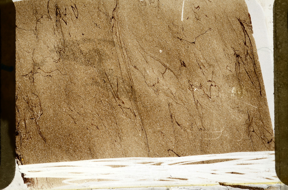 Plane Polarized, ED7964