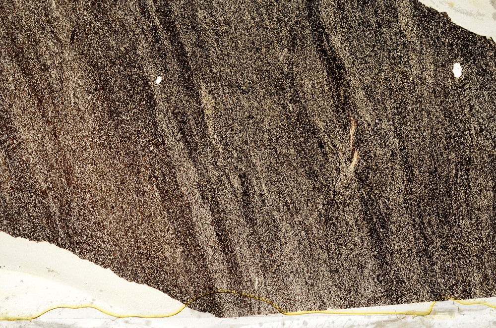 Plane Polarized, ED7965