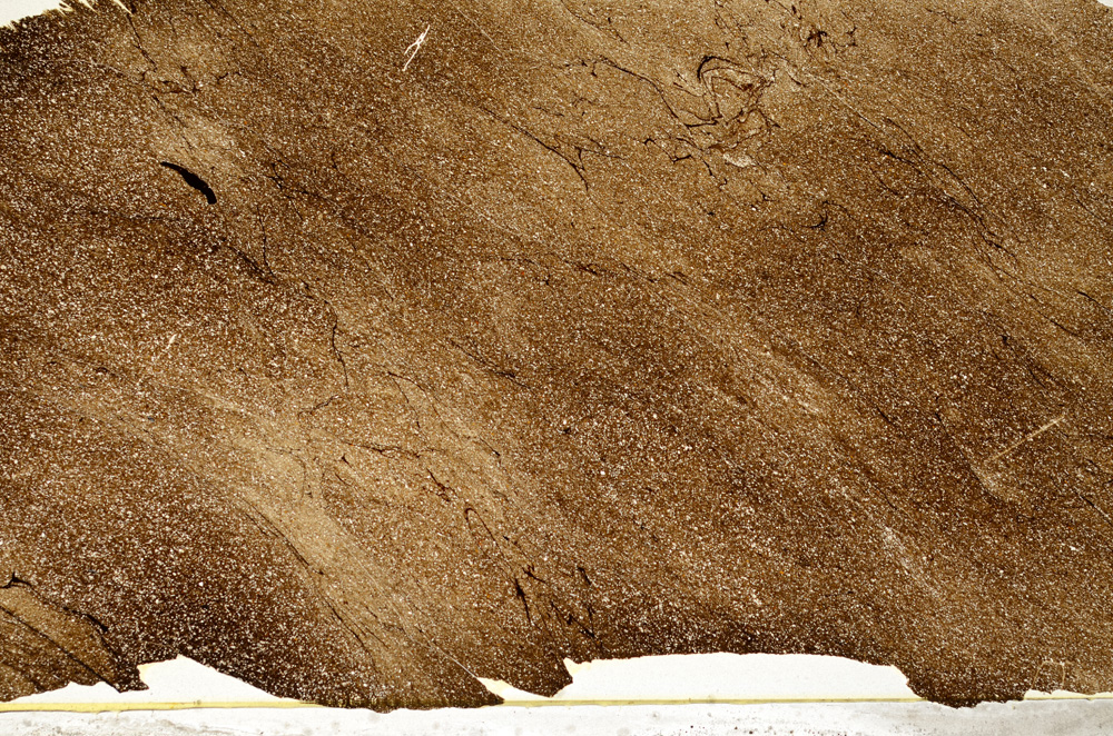 Plane Polarized, ED7968