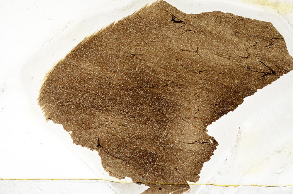 Plane Polarized, ED7974