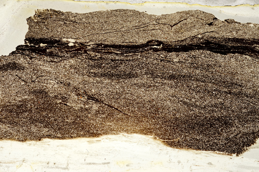 Plane Polarized, ED7981