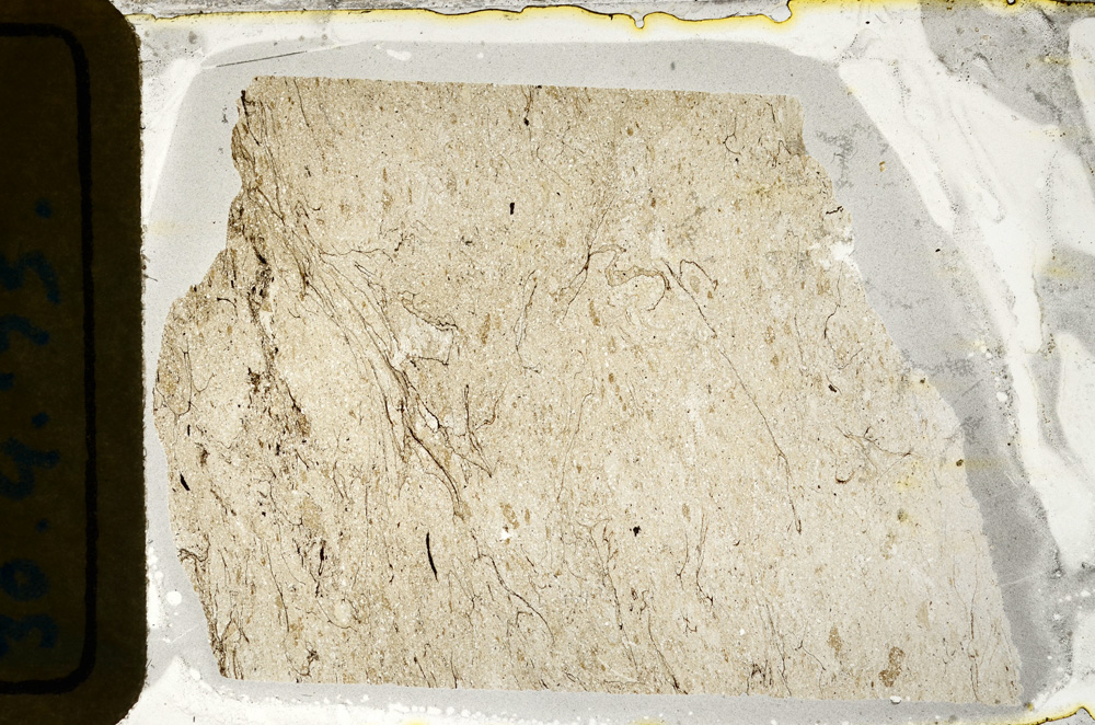 Plane Polarized, ED8124