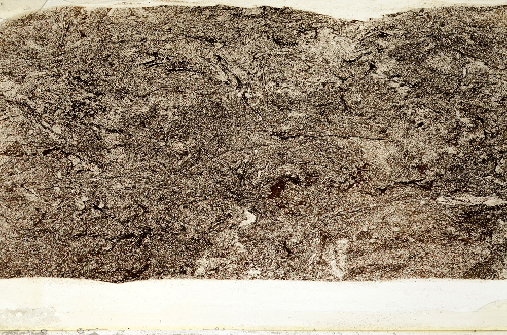 Plane Polarized, ED8143