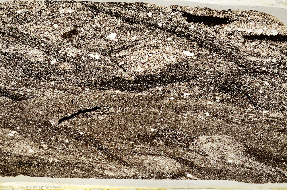 Plane Polarized, ED8161