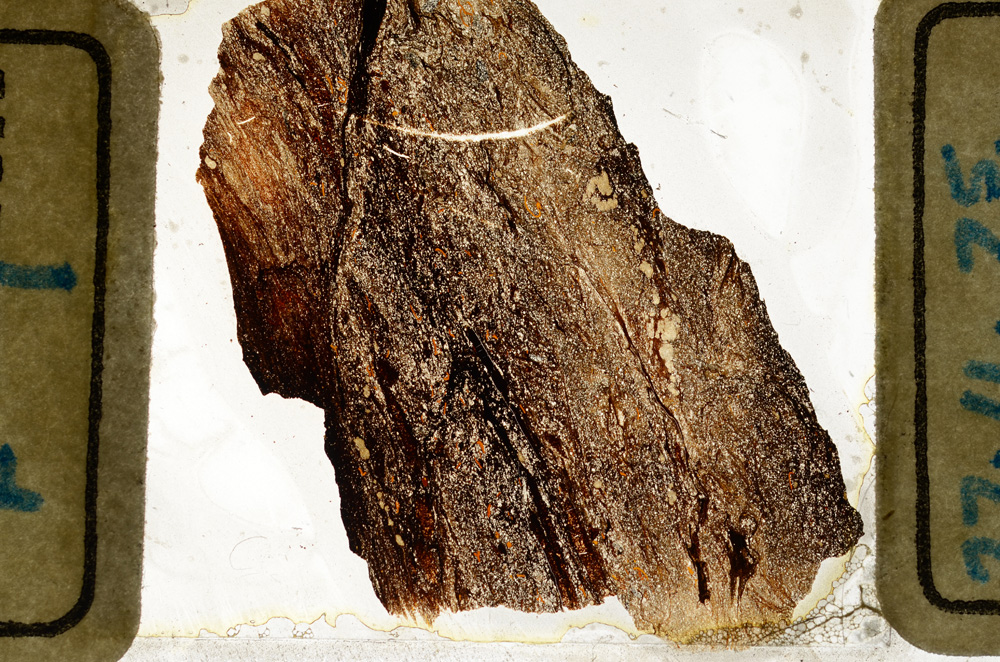 Plane Polarized, ED8253