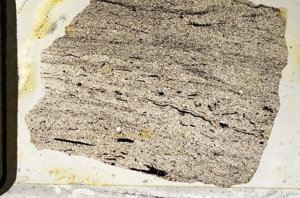 Plane Polarized, ED8410