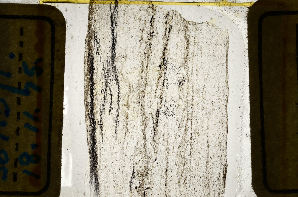 Plane Polarized, ED8434