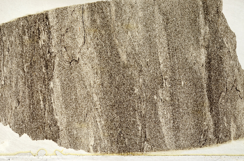 Plane Polarized, ED8449