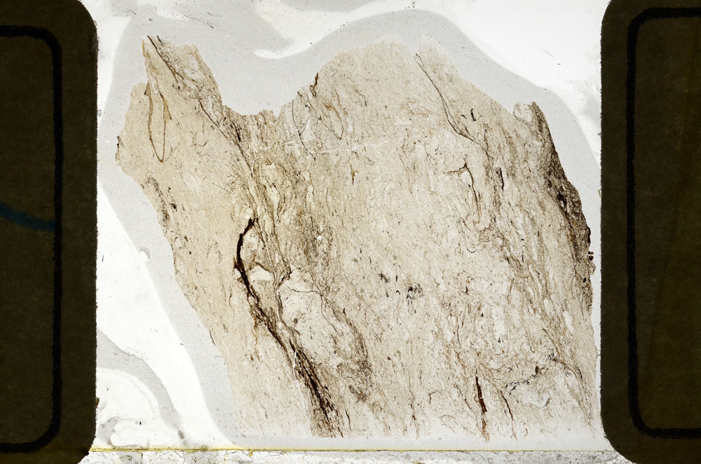 Plane Polarized, ED8468