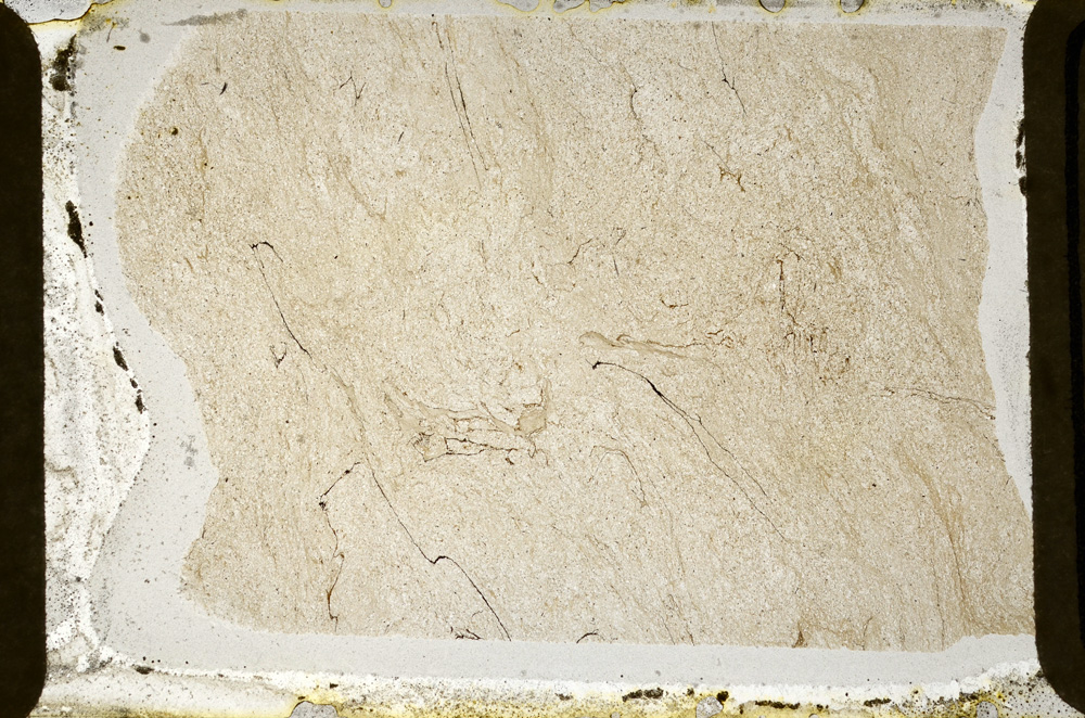 Plane Polarized, ED8470