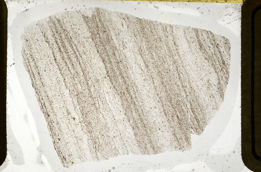 Plane Polarized, ED8479