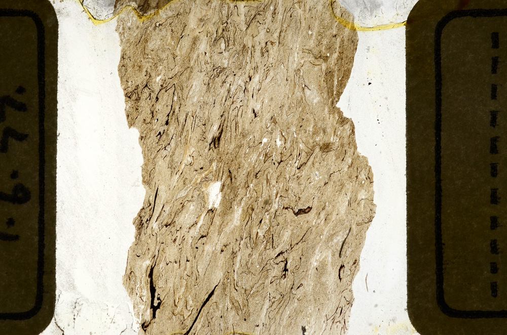 Plane Polarized, ED8504