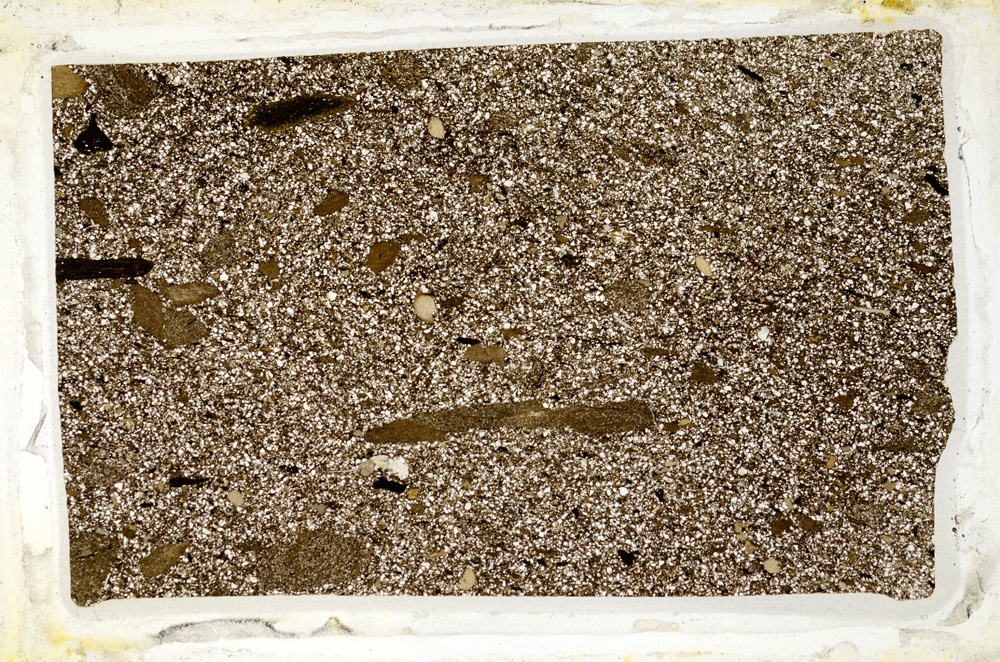 Plane Polarized, ED8531