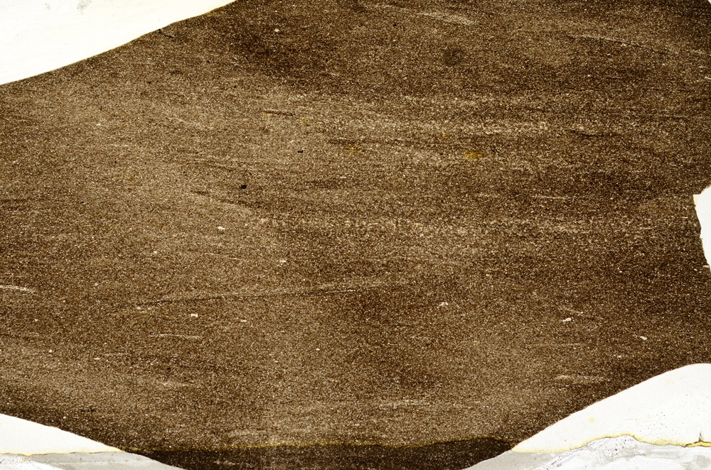 Plane Polarized, ED8575