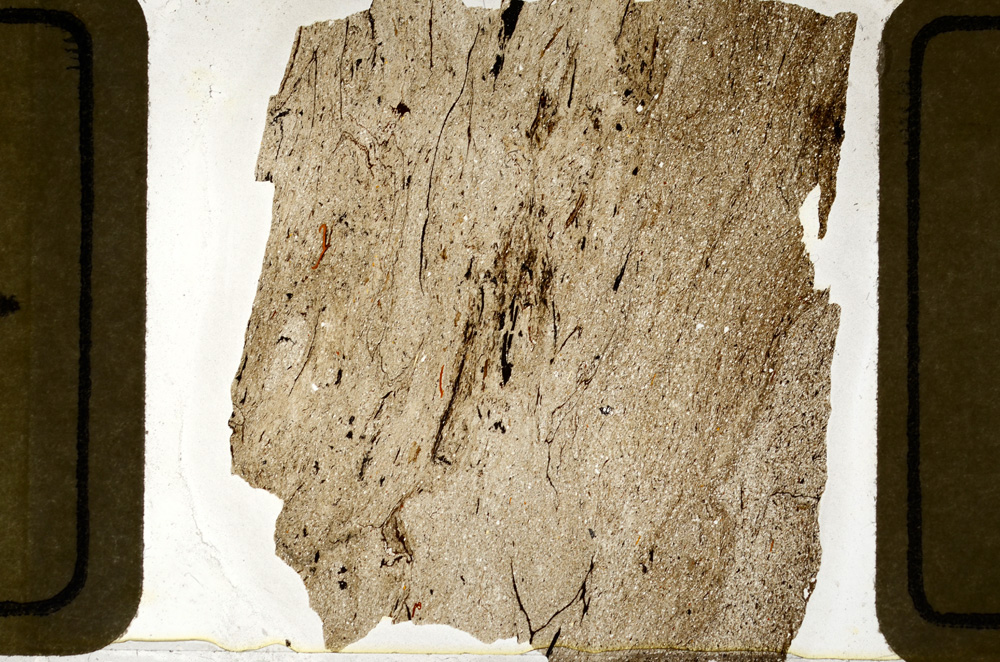 Plane Polarized, ED8620