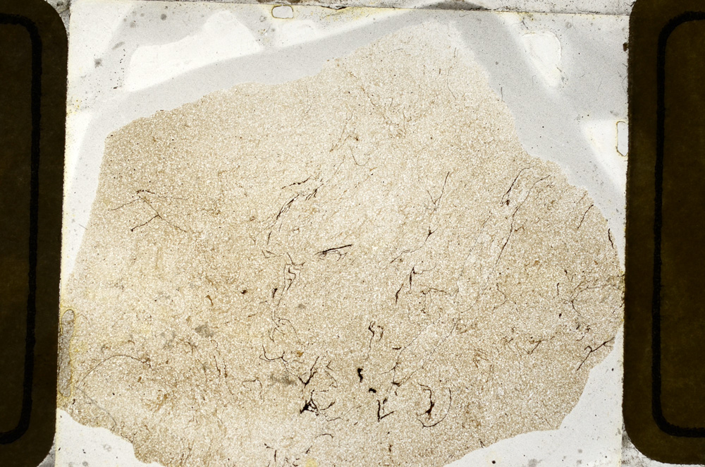 Plane Polarized, ED8788