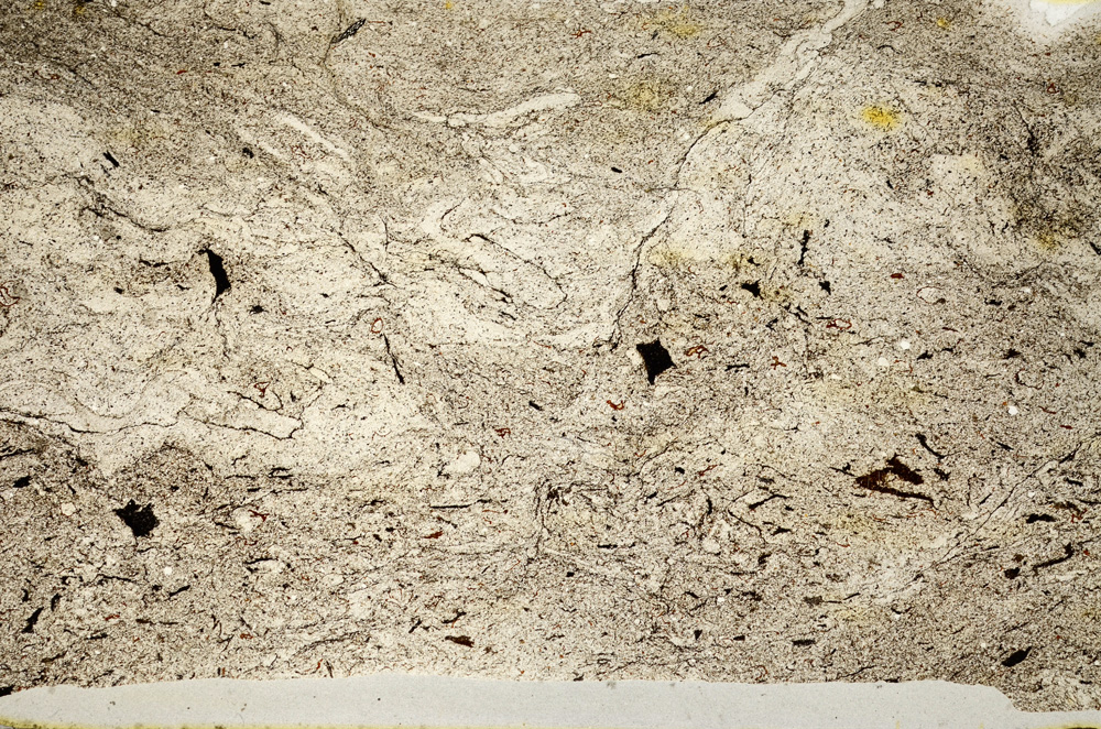 Plane Polarized, ED8797