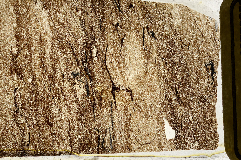 Plane Polarized, ED8804