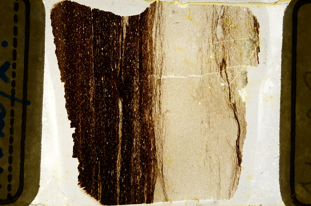 Plane Polarized, ED8809