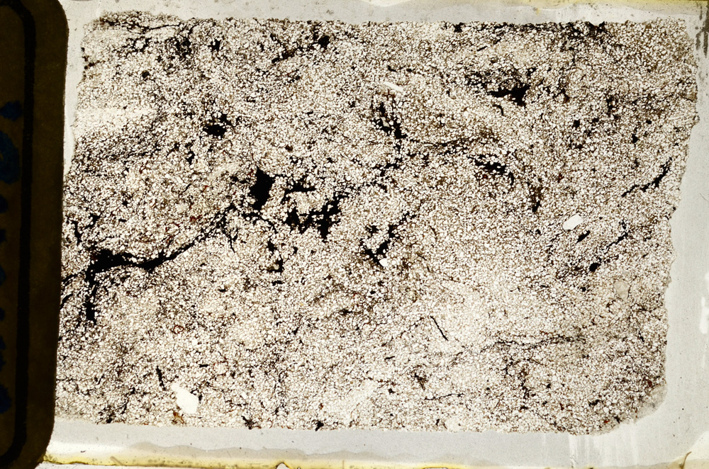 Plane Polarized, ED8810