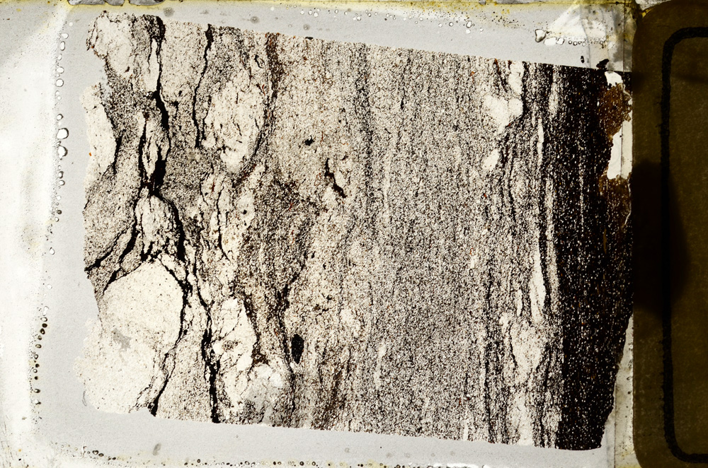 Plane Polarized, ED8814