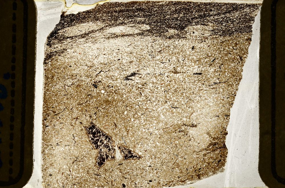 Plane Polarized, ED8840