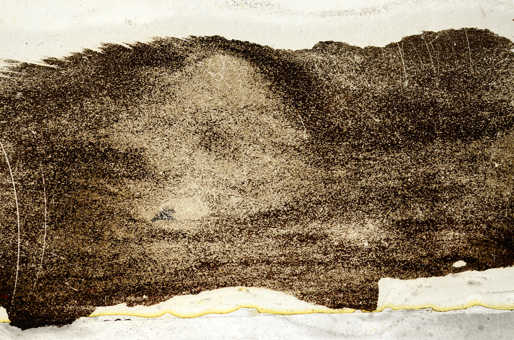 Plane Polarized, ED8874