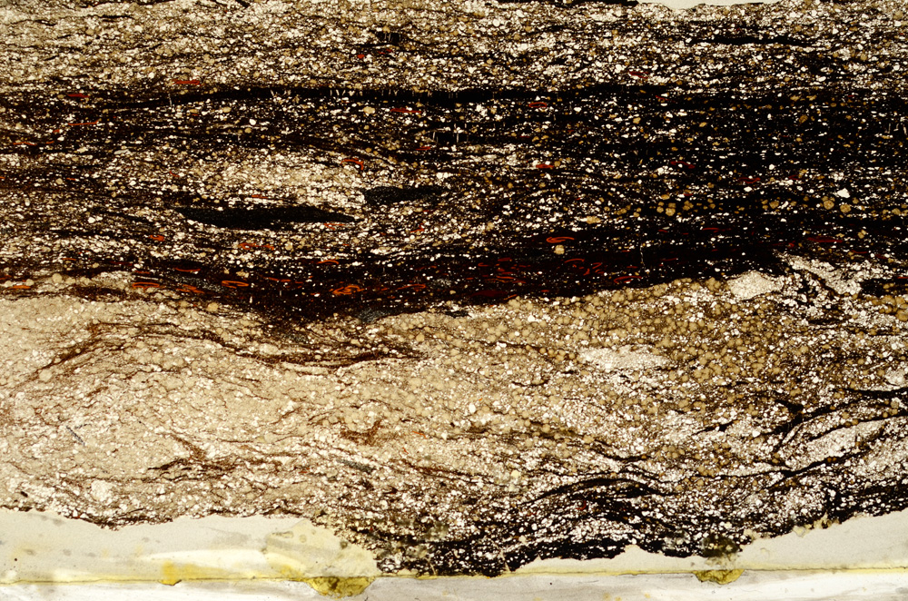 Plane Polarized, ED9116