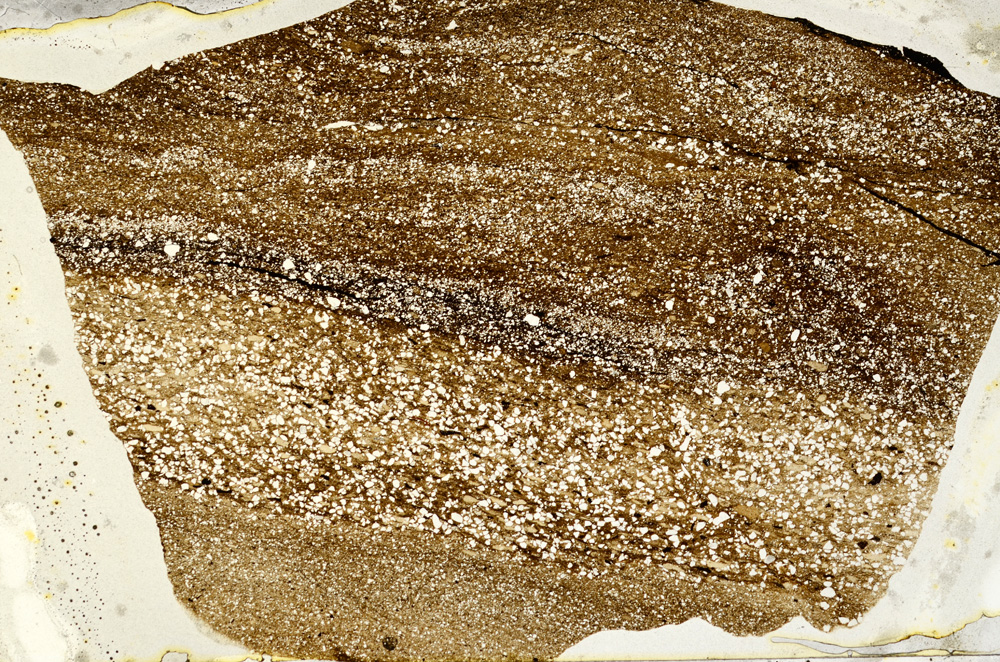 Plane Polarized, ED9167