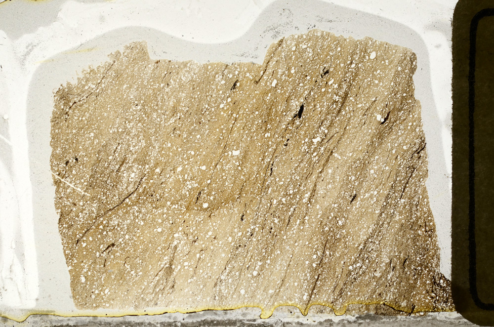 Plane Polarized, ED9182