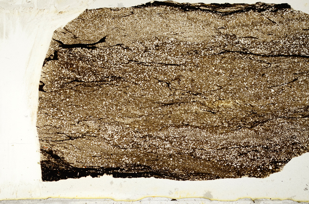 Plane Polarized, ED9192