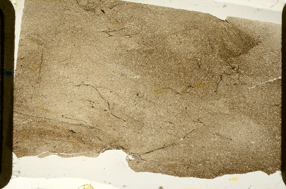 Plane Polarized, ED9262