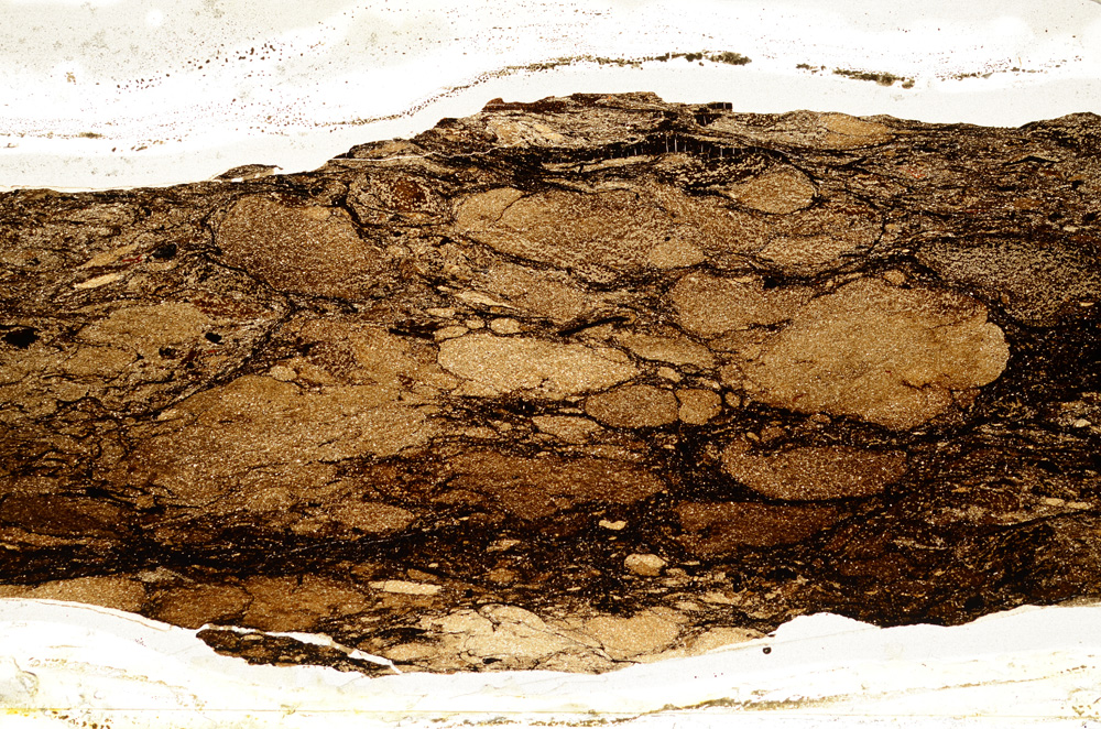 Plane Polarized, ED9313