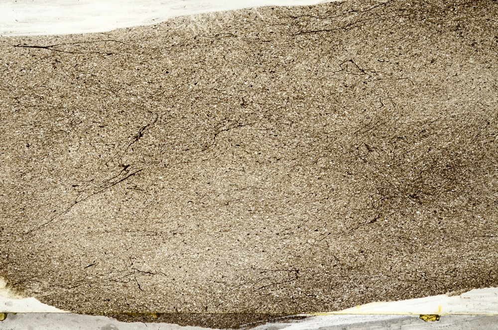 Plane Polarized, ED9358