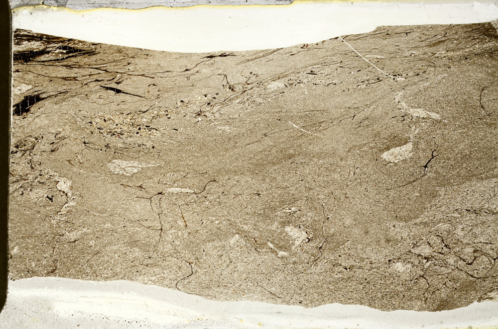 Plane Polarized, ED9368