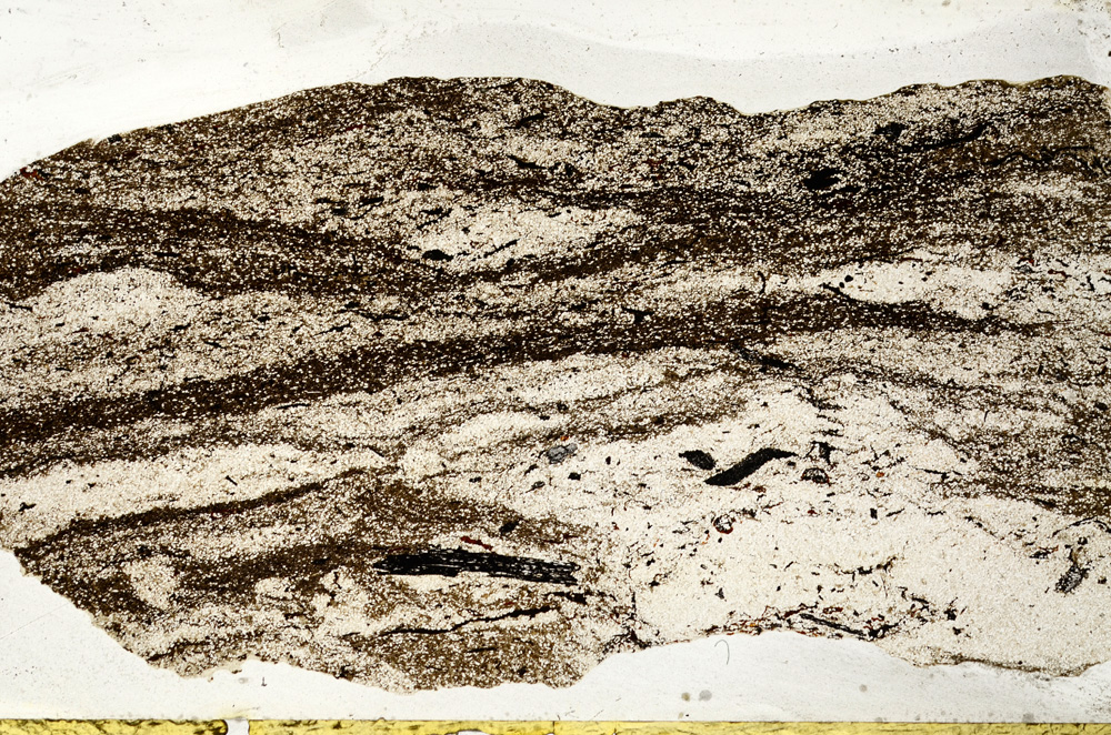 Plane Polarized, ED9393