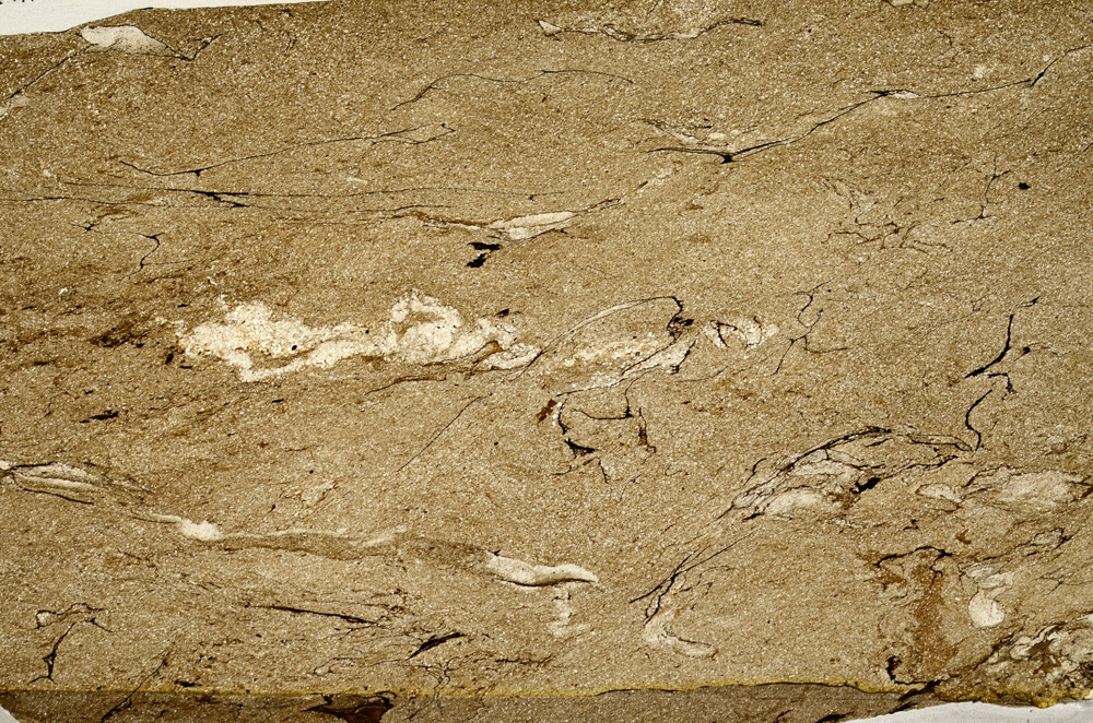 Plane Polarized, ED9395