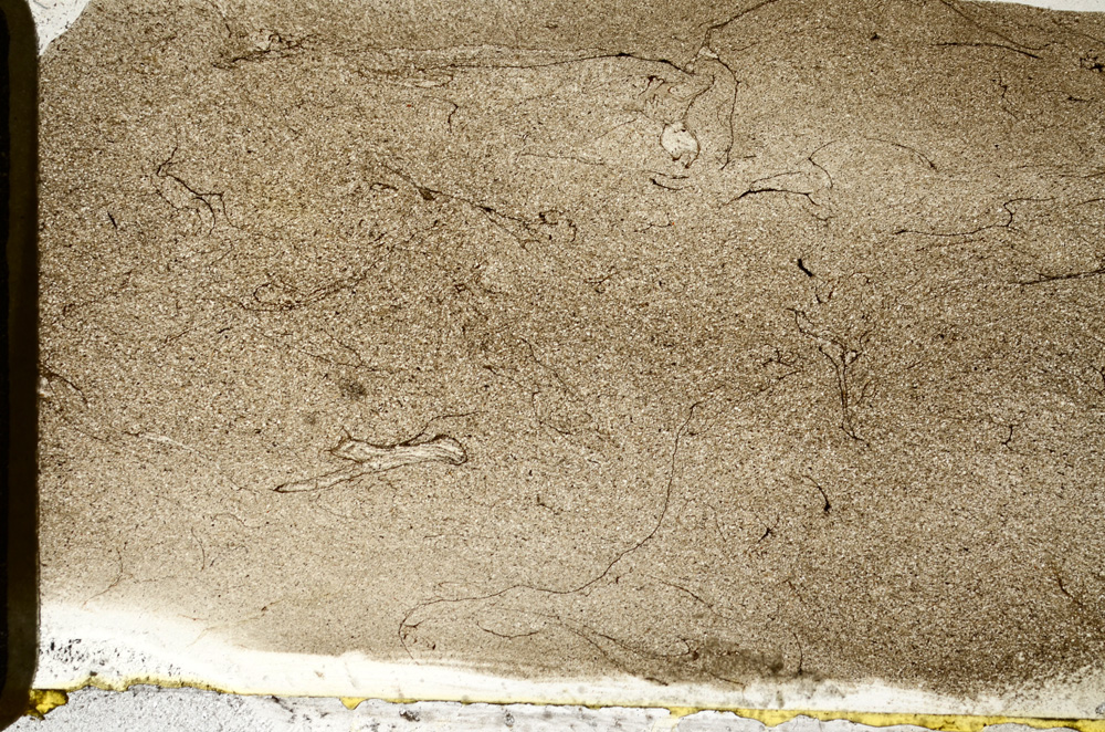 Plane Polarized, ED9599