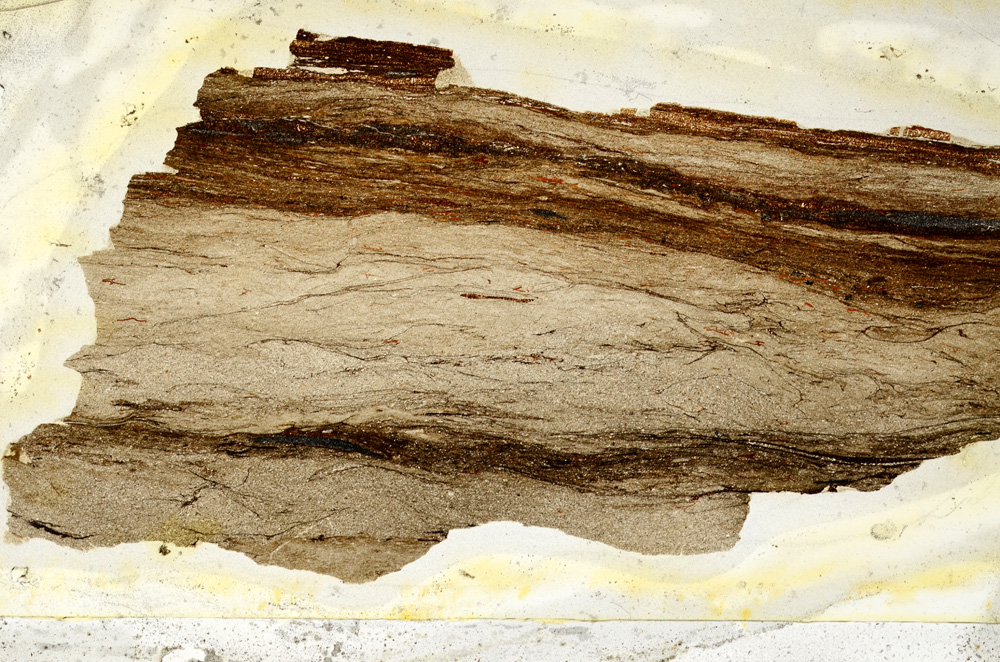 Plane Polarized, ED9680